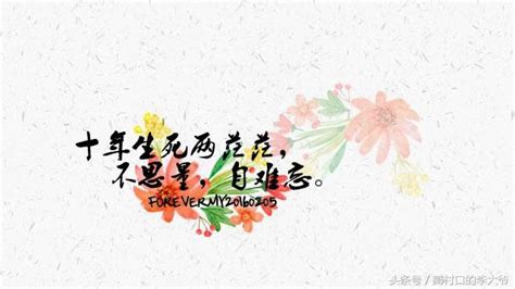 四月十七日|“四月十七，正是去年今日，别君时。”的意思及全诗出处和翻译赏。